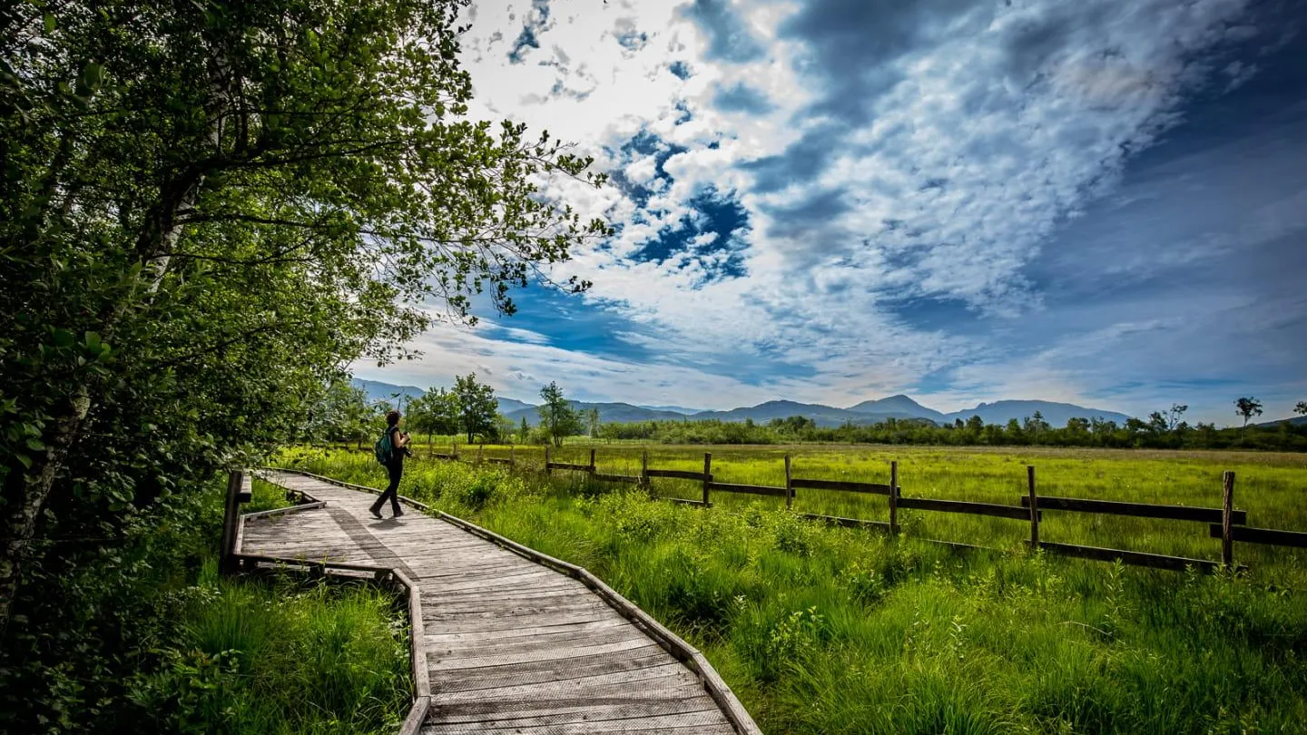 Une personne marche sur un chemin en bois à travers une prairie verte entourée d'une clôture, avec des montagnes et un ciel nuageux en arrière-plan